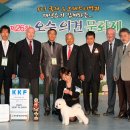 도그뉴스 이미지