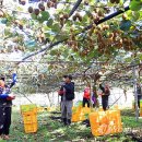 봉현농장 이미지