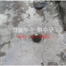 순천당약국 이미지