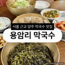 용암리 | [맛집] 서울근교맛집 막국수와 만두가 맛있는 용암리막국수 내돈내산 후기