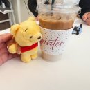 브라운동물병원 | 호누 용문여의주빵, 허그미 동물병원 치즈의 구내염, 다이아헤어 분당미금스타점 플럼브라운 염색, 청안로