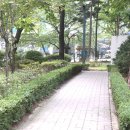 시범삼성공인중개사사무소 네이버블로그