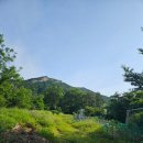 여도중학교 | 여수 숨은 명산 호랑산을 발견하다 호랑산 둘레길 여수 편백나무숲 시티뷰