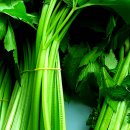 인제02-2 이미지