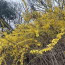 [일원2-저녁] 통기타 반 (3~4곡 마스터) | [2026-5] 흐놀던 계절이 다가오며 흘려쓴 날들