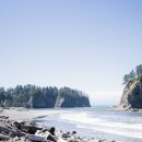 시애틀공원 이미지