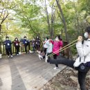 산림힐링재단 이미지