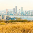 천문대로맛집 이미지