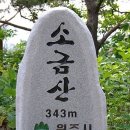 2011년 7월10일 안산엔돌핀산악회 1주년 정기산행(소금산) 이미지