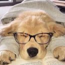 바디채널 삼계점 이미지