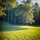 애월애 민박 이미지