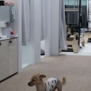 월곶어울림센터 2층 이미지