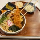 둥글래 | 내돈내산 백소정 은행사거리점 가족저녁 외식 후기 - 가츠동, 우동, 돈카츠, 커리 먹어본 솔직후기