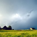 나로 in 해 이미지