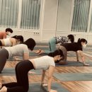 리발란스 이미지