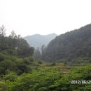 심낭골 Daum카페