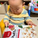 로지오가닉 농장 이미지