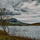 참사랑전문 요양원 이미지