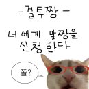 1412 이미지