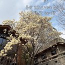 (주)모모스 | 부산 온천장 카페 모모스커피 본점 목련 웨이팅