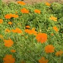 이천시 호법면 농어민문화체육센터 이미지