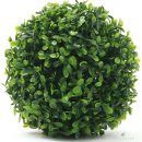 별동자리 이미지