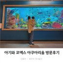 삼성동-26 | 19개월 아기와 서울 갈만한곳_삼성역 코엑스 아쿠아리움