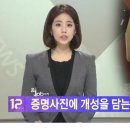 [EBS 정오뉴스] 꿈을 JOB아라 이미지