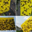 여수원예농업협동조합 이미지