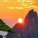 자연그대로 이미지