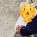 웰미가 수송점 이미지