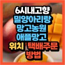 아리랑농장 | 6시내고향 밀양 상동면 애플망고·스낵파인애플·가지 밀양아리랑망고농원 택배주문방법