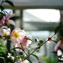 디모데후서 3:1~9 이미지