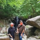 어서와, 손주는 처음이지? 이미지