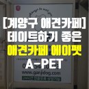에이펫(A-PET) 이미지