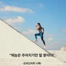 니체에게 배우는 인생 공부 | [니체 인생수업 독서후기] 일상에 스며드는 66가지 삶의 지혜