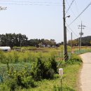 황골해변 이미지