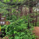 신라샘1 이미지