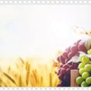 덕양한의원 이미지