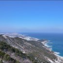 동해바다처럼 이미지