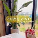 떡만드는고냉이