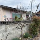 우리들의 경주가 생각나요 | 경주 촌캉스 숙소 | 우리들의경주가생각나요 | 경주 단체 숙소(넓은마당과 촌캉스조끼가 있는)