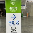청춘춘천닭갈비