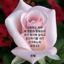 살롬