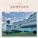 제주리조트 | 제주 아이랑 숙소 금호 제주 리조트 후기 아쿠아나 조식 편의시설까지