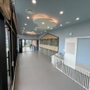 옐레드 애견유치원 & 애견호텔 대전노은점 이미지