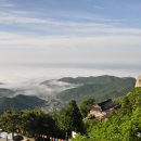 남해미미 이미지