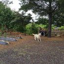 나들목가든 이미지