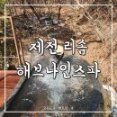 법인황금연못 | 제천 리솜 해브나인스파 투숙객 할인 60% | 포레스트 별채형 부부의 세계 터널 포토존