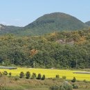 한국폴리텍 IV 대학 홍성캠퍼스 이미지